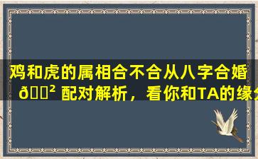 鸡和虎的属相合不合从八字合婚 🌲 配对解析，看你和TA的缘分深浅